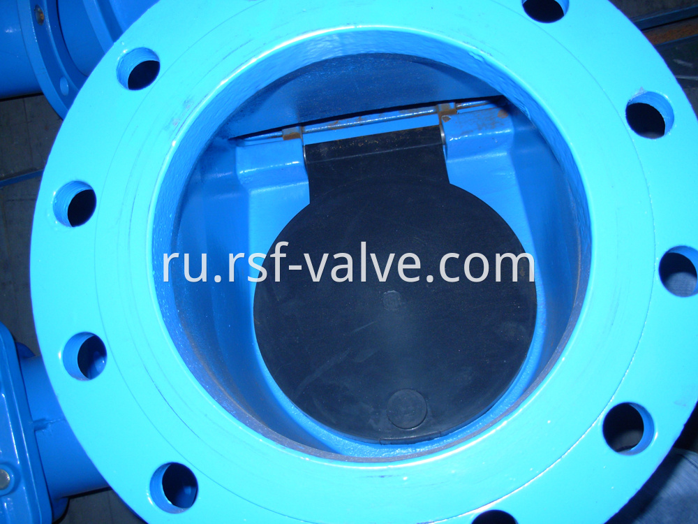 Rubber Capsuled Disc Swing Check Valve 2